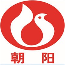 朝陽泵業(yè)QZ軸流、QH混流潛水電泵